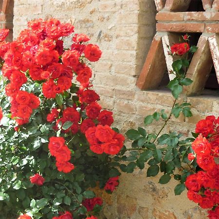 Fattoria Agriturismo Nerbona Casole dʼElsa Exteriör bild