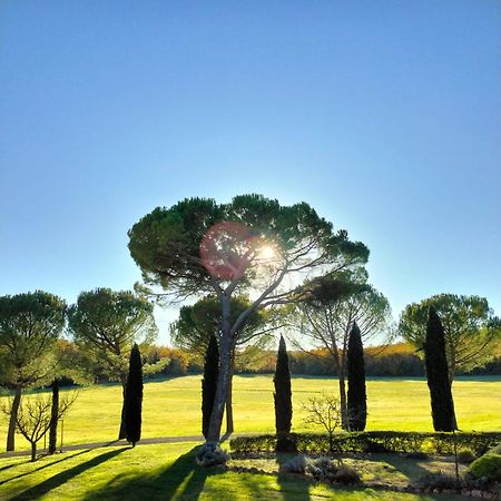 Fattoria Agriturismo Nerbona Casole dʼElsa Exteriör bild