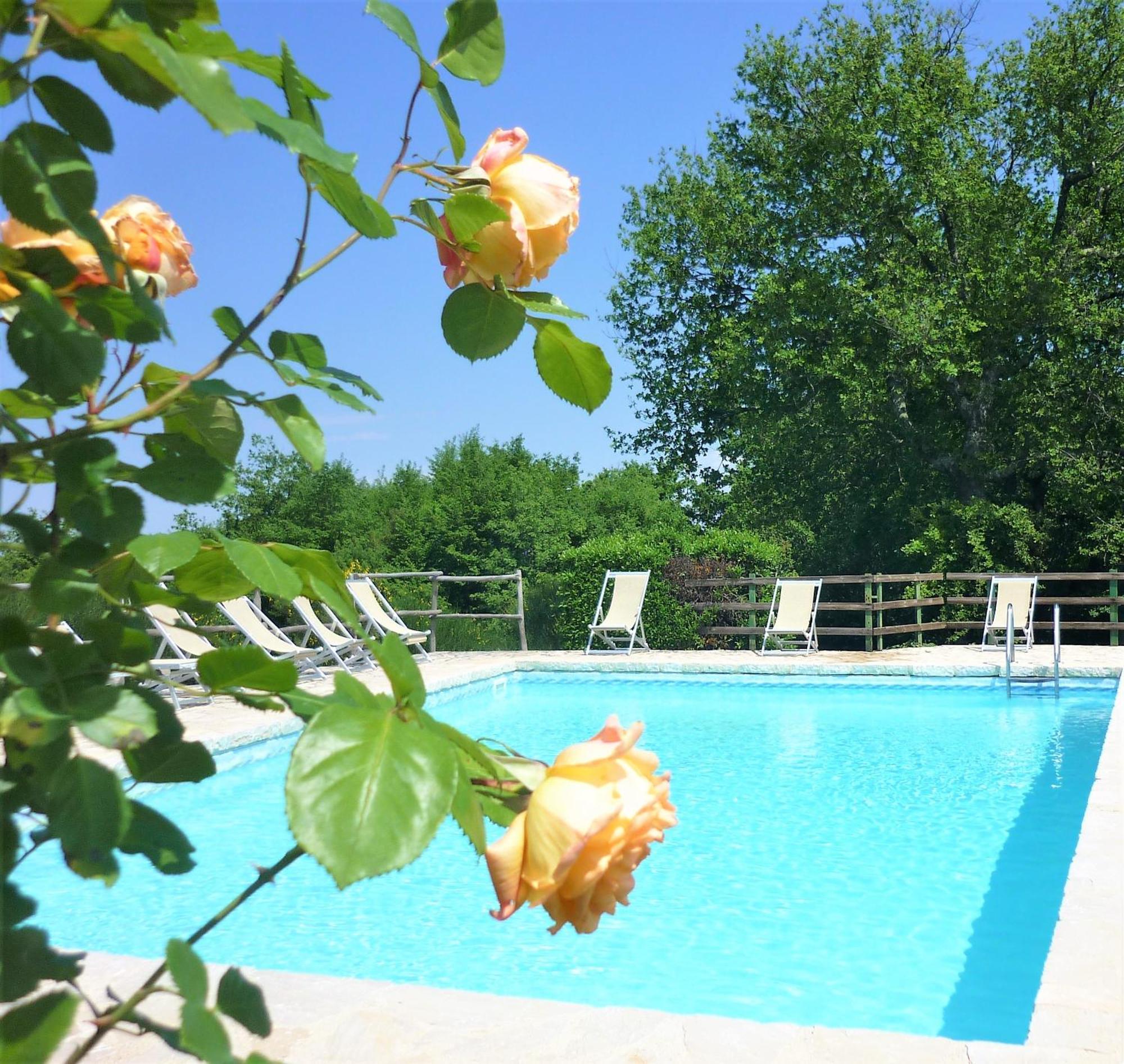 Fattoria Agriturismo Nerbona Villa Casole dʼElsa Exteriör bild