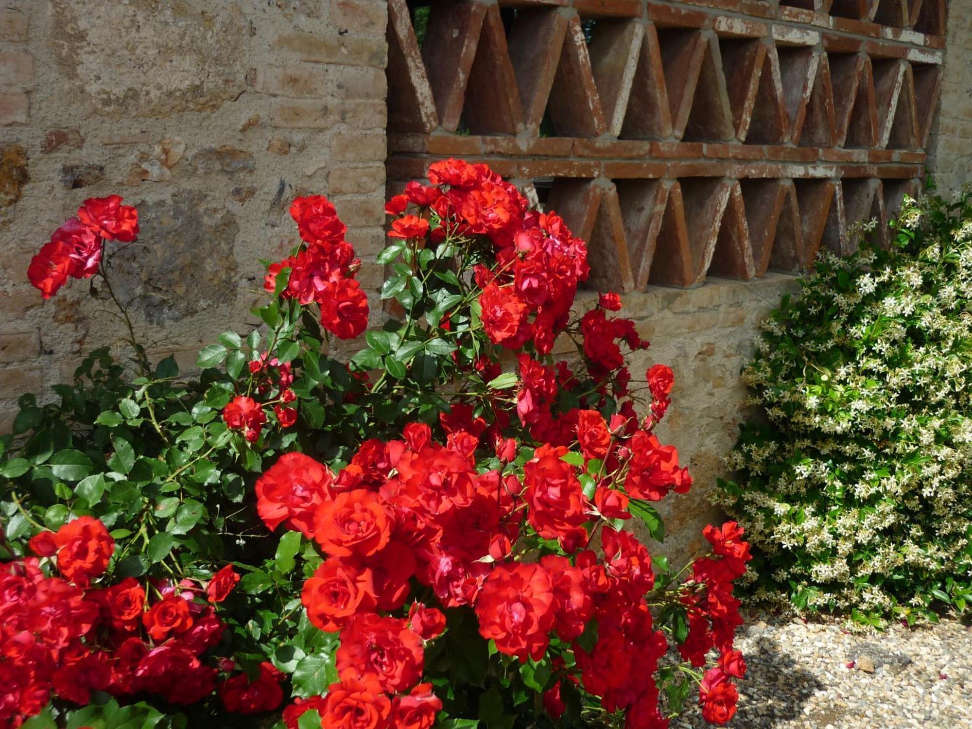 Fattoria Agriturismo Nerbona Casole dʼElsa Exteriör bild
