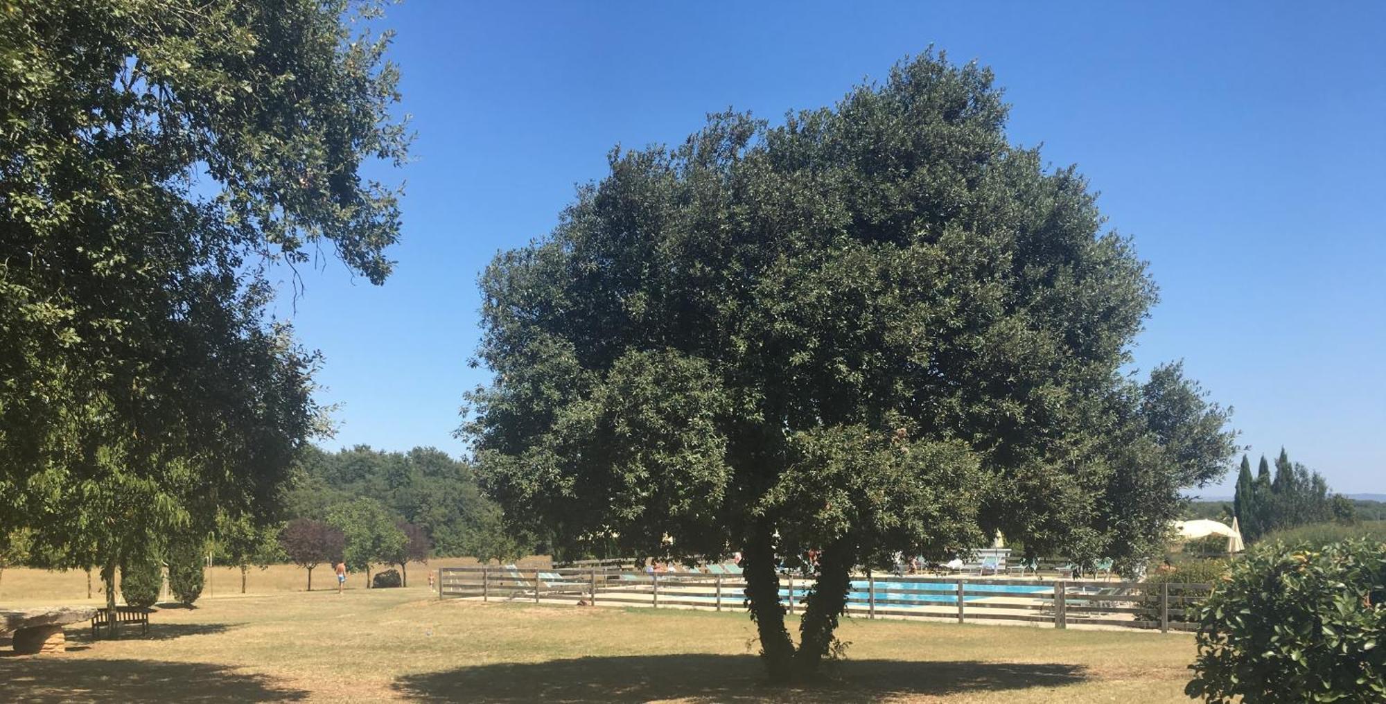 Fattoria Agriturismo Nerbona Villa Casole dʼElsa Exteriör bild