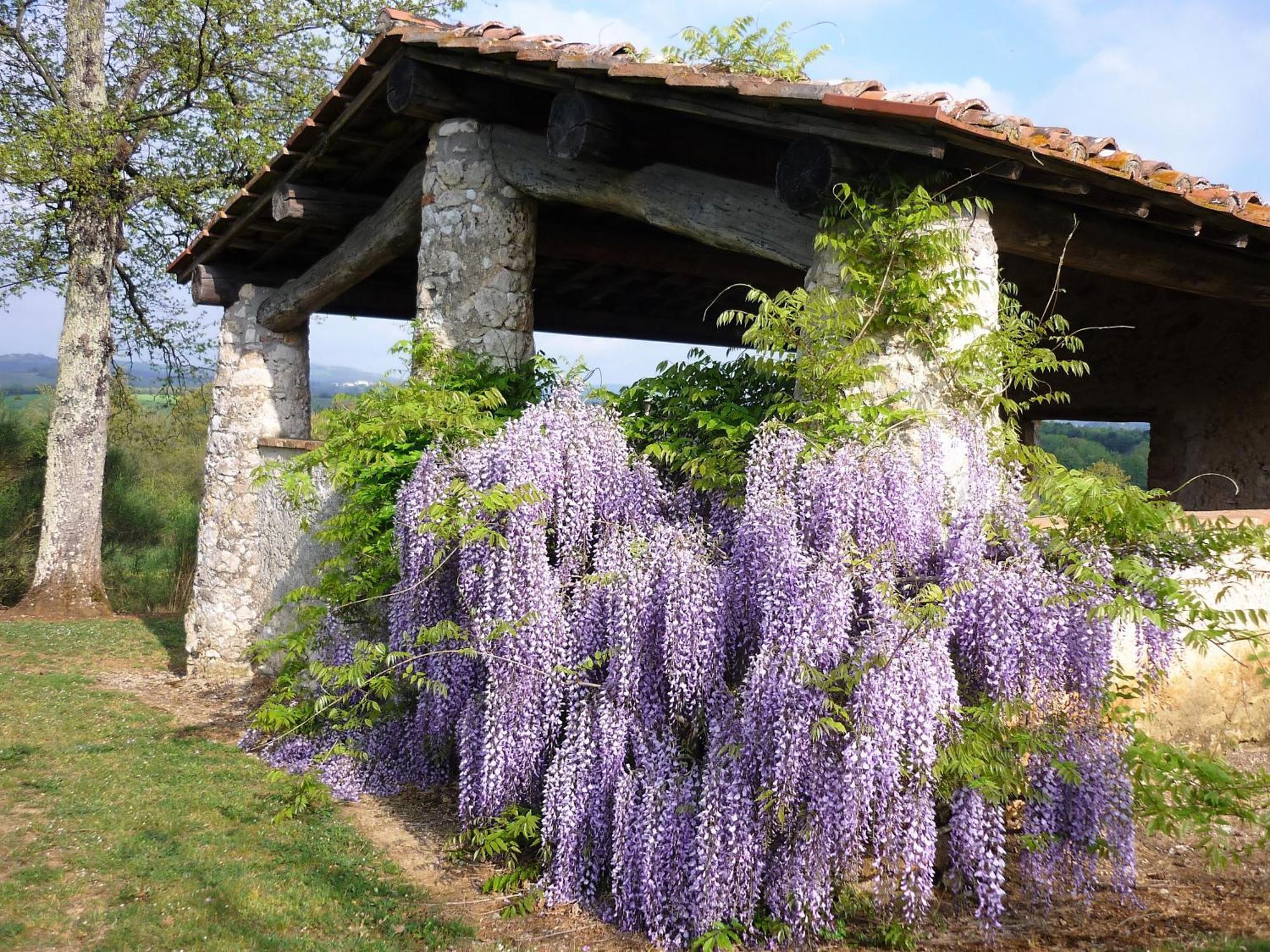 Fattoria Agriturismo Nerbona Casole dʼElsa Exteriör bild