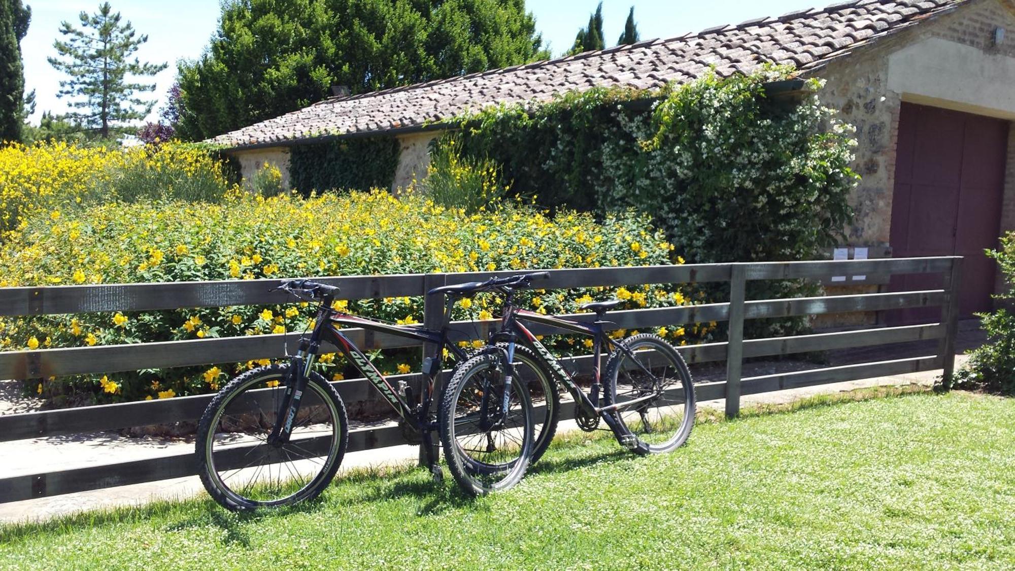 Fattoria Agriturismo Nerbona Casole dʼElsa Exteriör bild