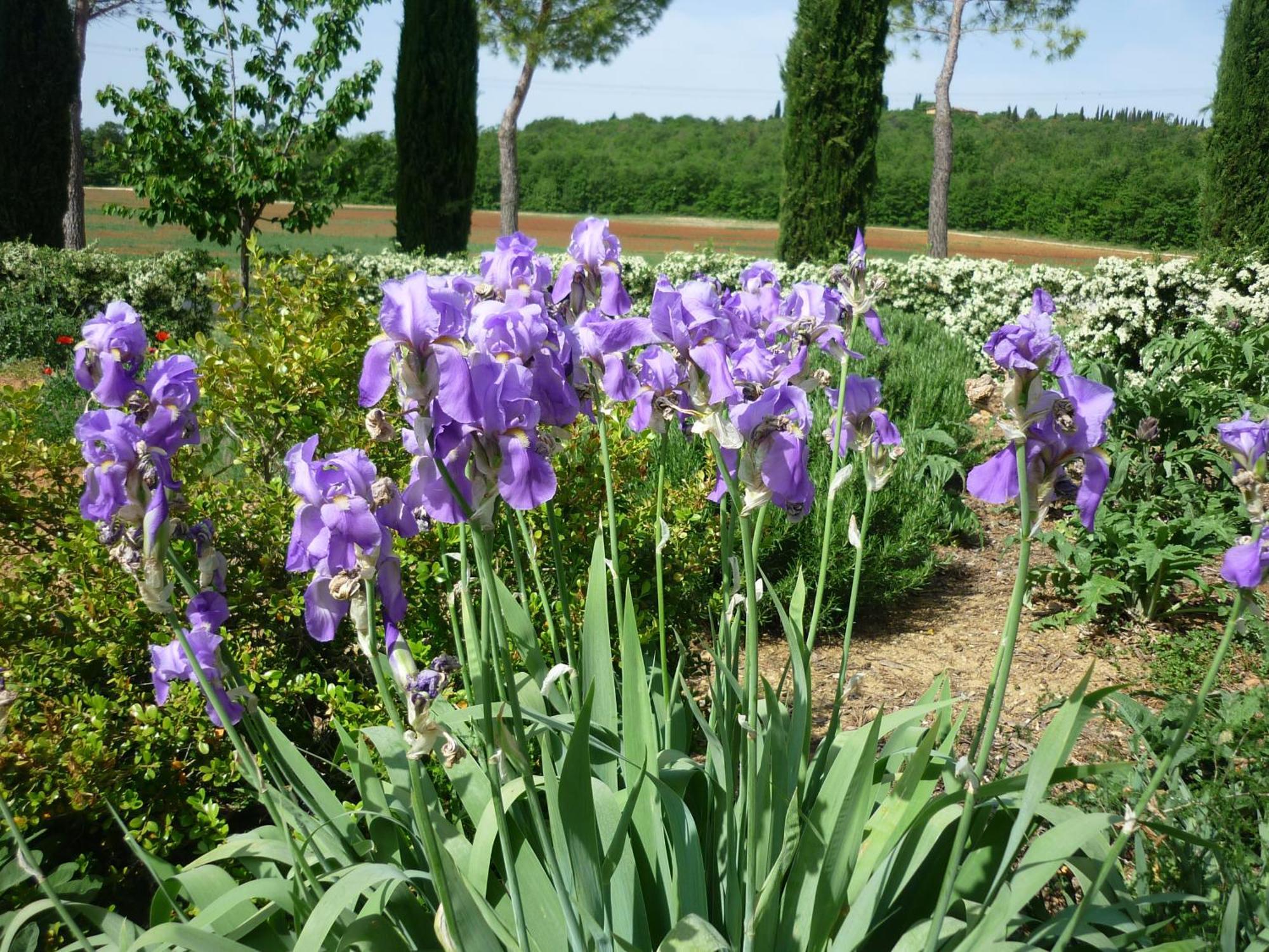 Fattoria Agriturismo Nerbona Casole dʼElsa Exteriör bild