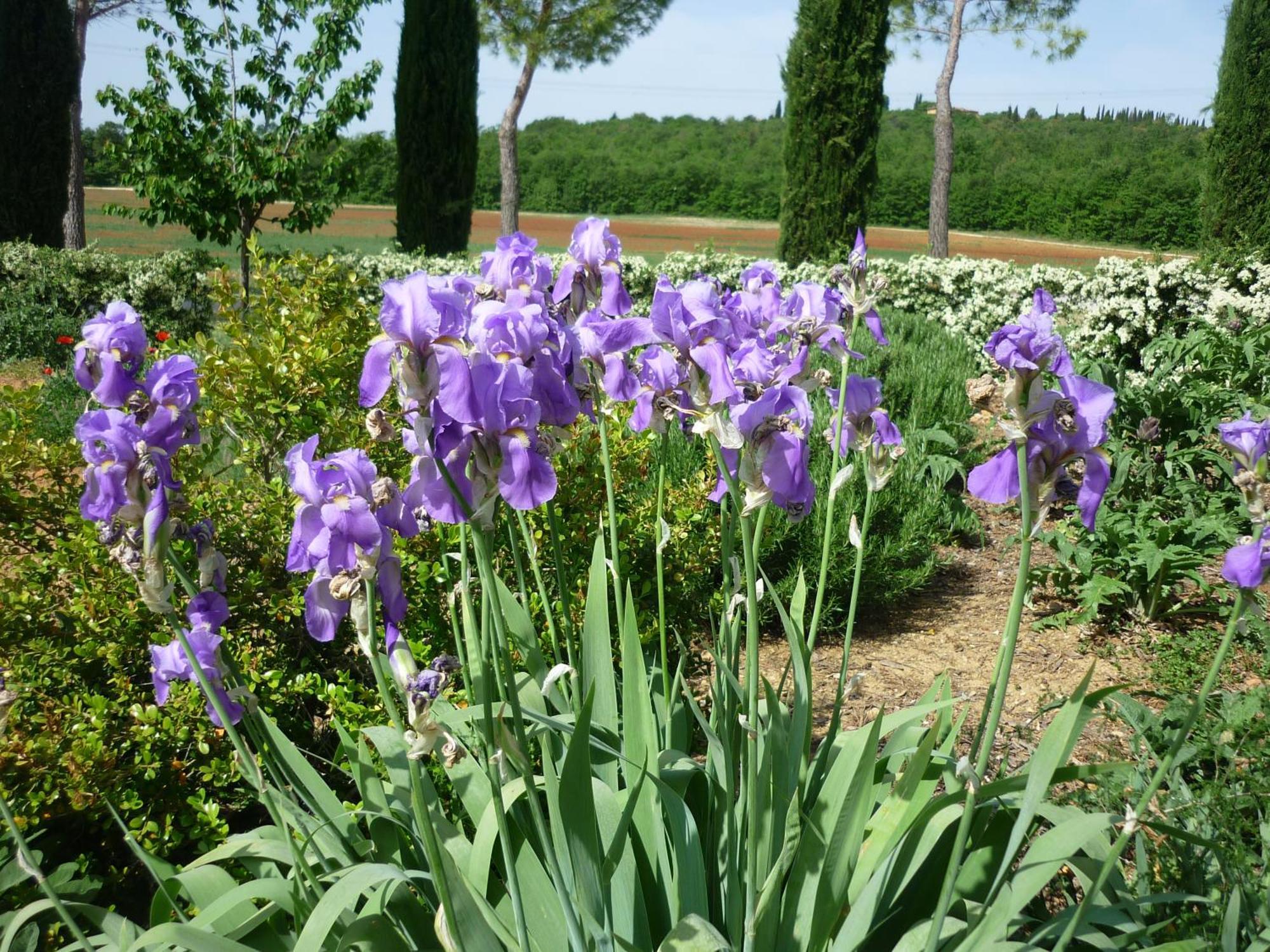 Fattoria Agriturismo Nerbona Villa Casole dʼElsa Exteriör bild