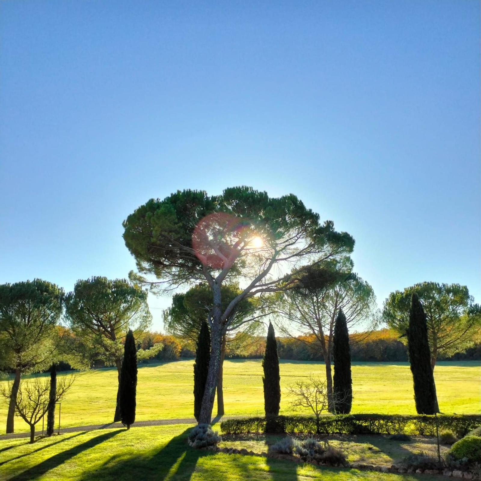 Fattoria Agriturismo Nerbona Casole dʼElsa Exteriör bild